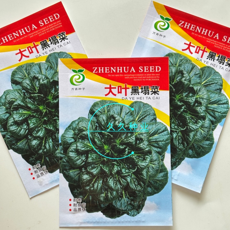 大叶黑塌菜种子叶片大肥厚墨绿乌塌菜种子耐寒耐抽苔黑乌塌菜