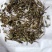 半枝莲统货批发支持代发1000克半枝莲中草药材