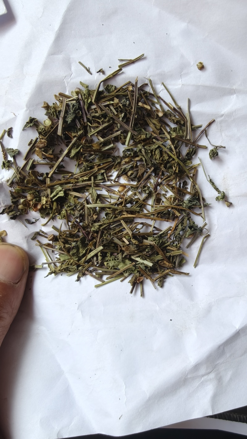 半枝莲统货批发支持代发1000克半枝莲中草药材