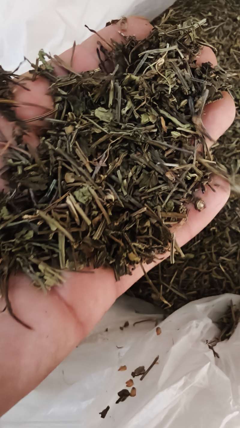 半枝莲统货批发支持代发1000克半枝莲中草药材