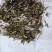 半枝莲统货批发支持代发1000克半枝莲中草药材