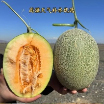 新疆哈密瓜代发全国市场档口电商社区团购诚信合作