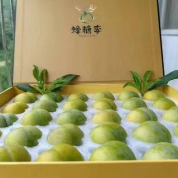 蜂糖李