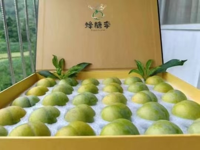 蜂糖李