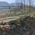 安徽小水竹源头厂家直发量大从优可视频看货欢迎咨询