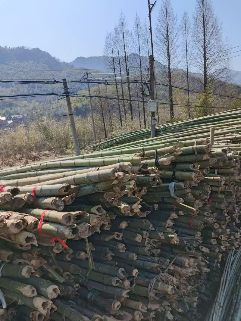 安徽小水竹源头厂家直发量大从优可视频看货欢迎咨询