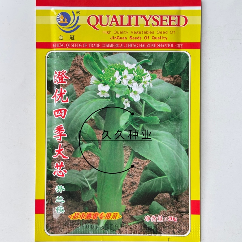 澄优四季大芯芥兰筷种子芥蓝菜香菇芥兰粗条大笋芥蓝优