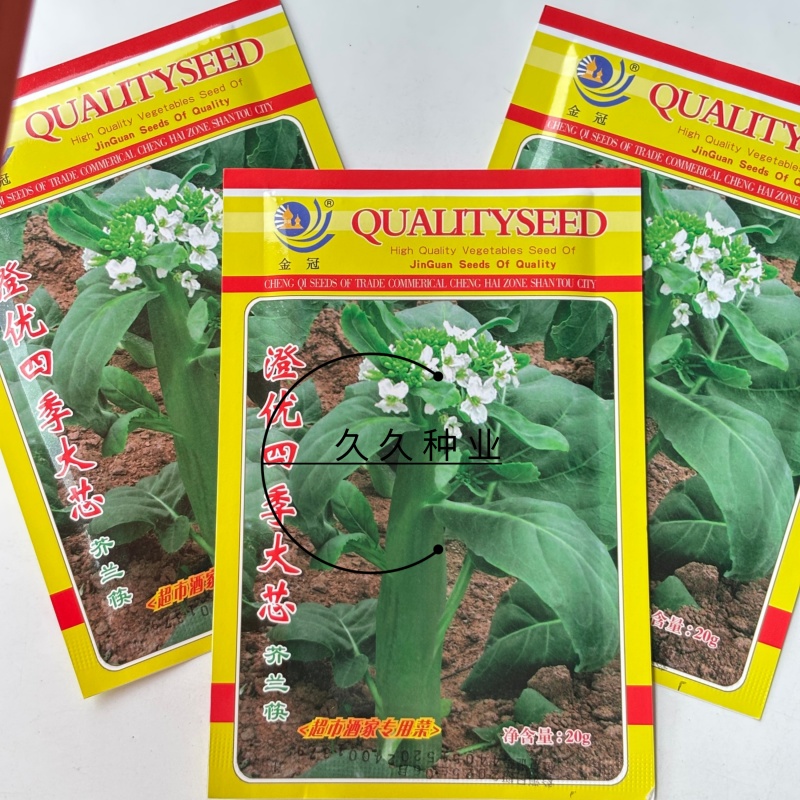 澄优四季大芯芥兰筷种子芥蓝菜香菇芥兰粗条大笋芥蓝优