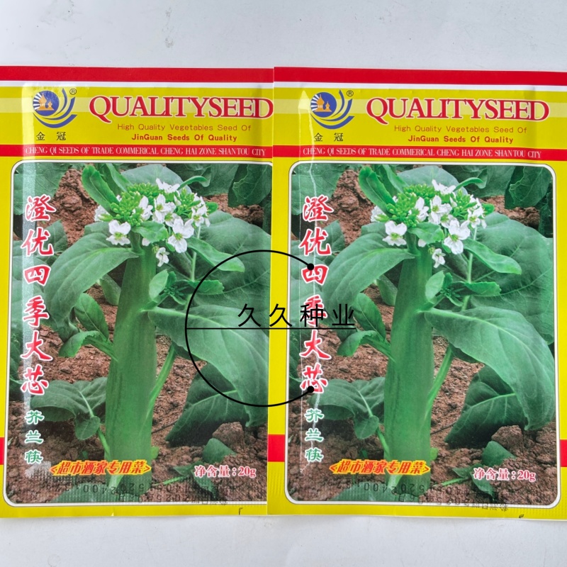 澄优四季大芯芥兰筷种子芥蓝菜香菇芥兰粗条大笋芥蓝优