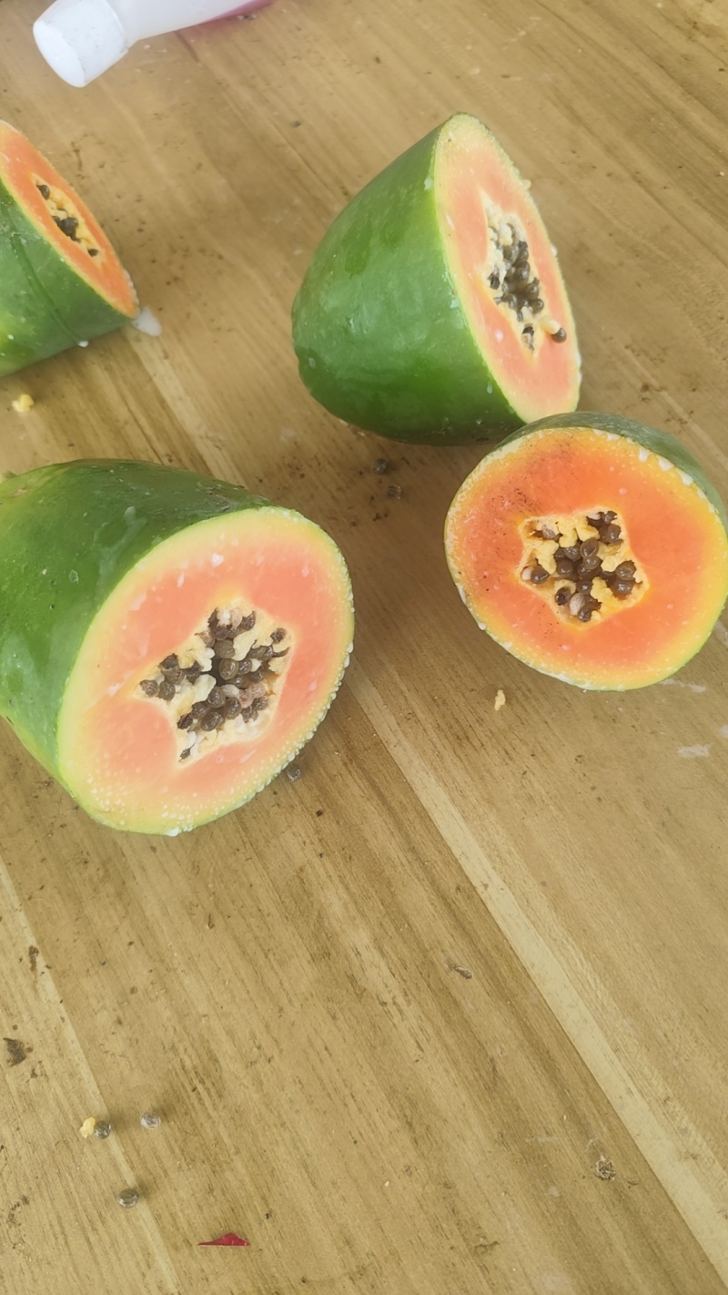 大青木瓜