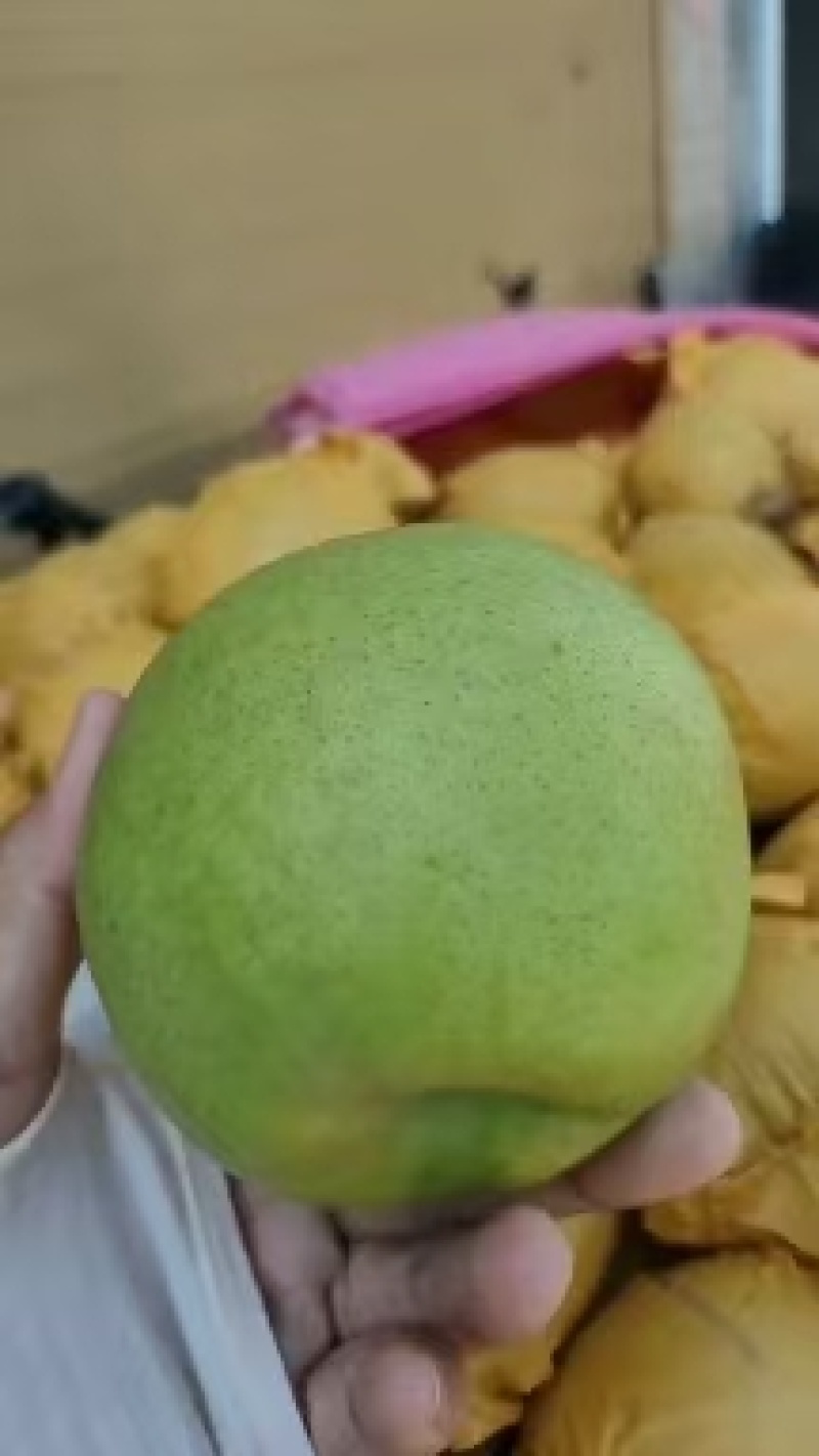 酥脆一号梨，脆冠，皇冠梨，保质保量，对接电商平台