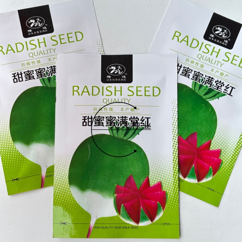 甜蜜蜜满堂红心里美萝卜种子杂交绿皮红瓤红心生食水果