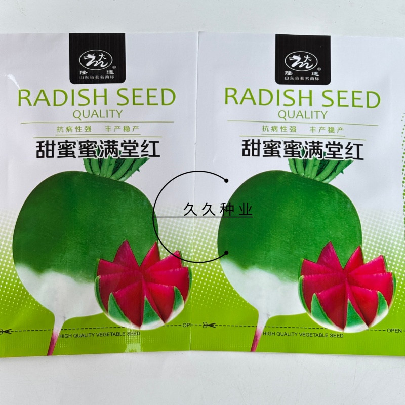 甜蜜蜜满堂红心里美萝卜种子杂交绿皮红瓤红心生食水果