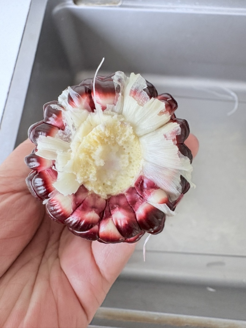 新鲜黑玉米甜糯型