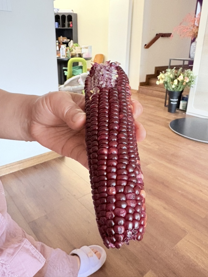 新鲜黑玉米甜糯型