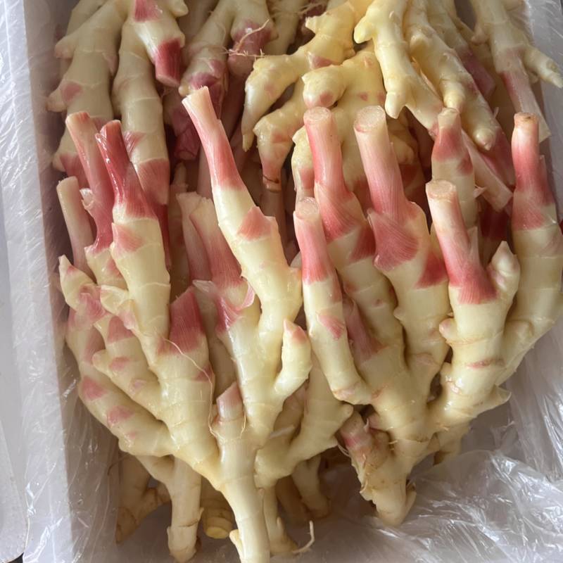 洗姜，泥姜，商超，泡姜