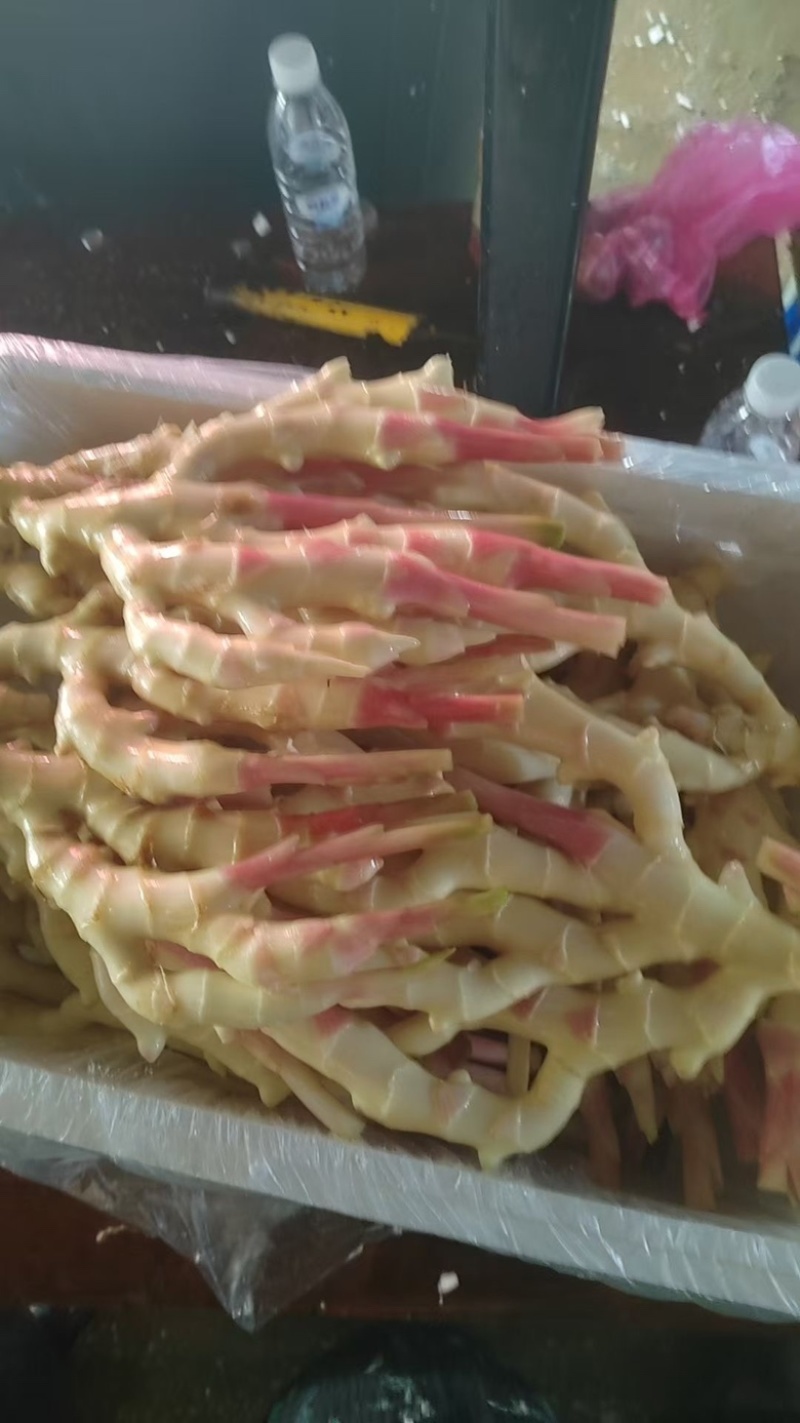 洗姜，泥姜，商超，泡姜