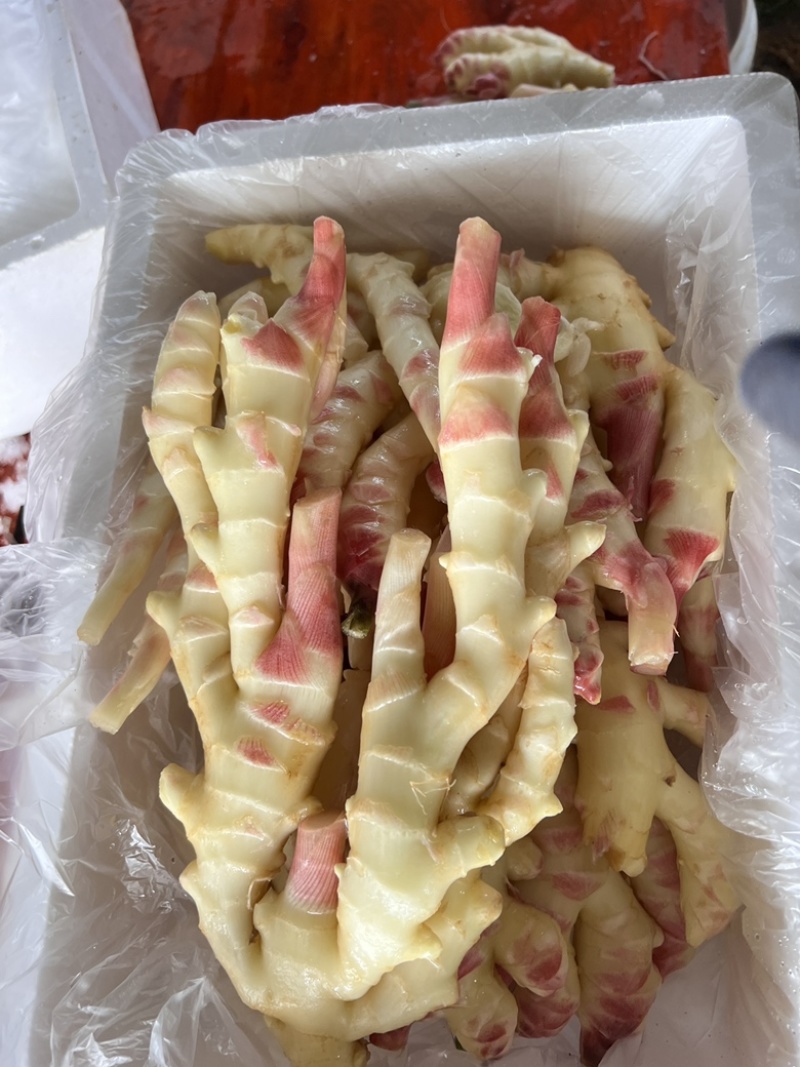 洗姜，泥姜，商超，泡姜