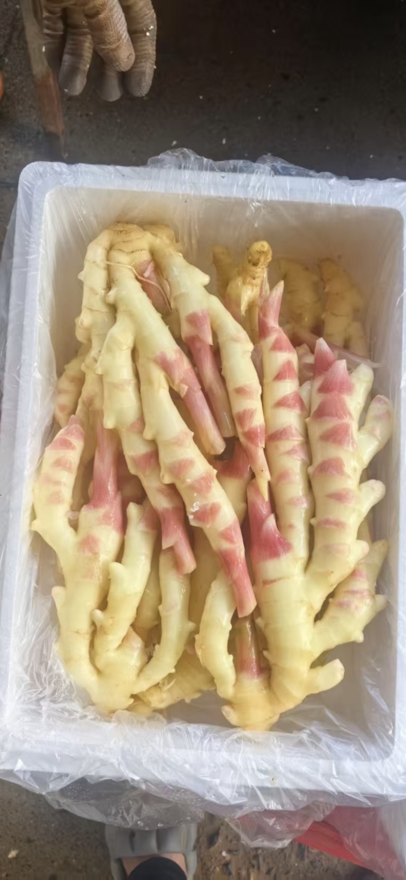 洗姜，泥姜，商超，泡姜