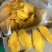 芒果干黄片