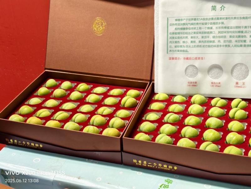 正宗六马蜂糖李