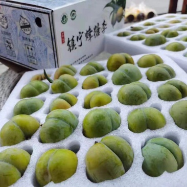 贵州六马蜂糖