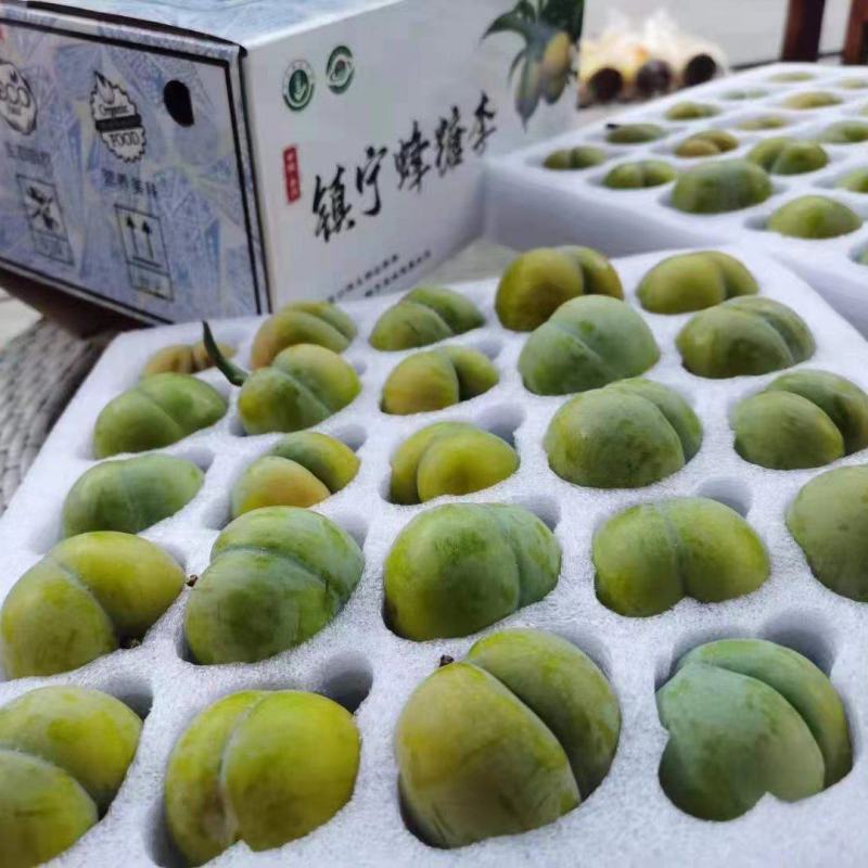 贵州六马蜂糖