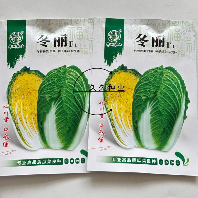 冬丽黄心大白菜种子口感好绿叶黄芯高产抗病商品性佳