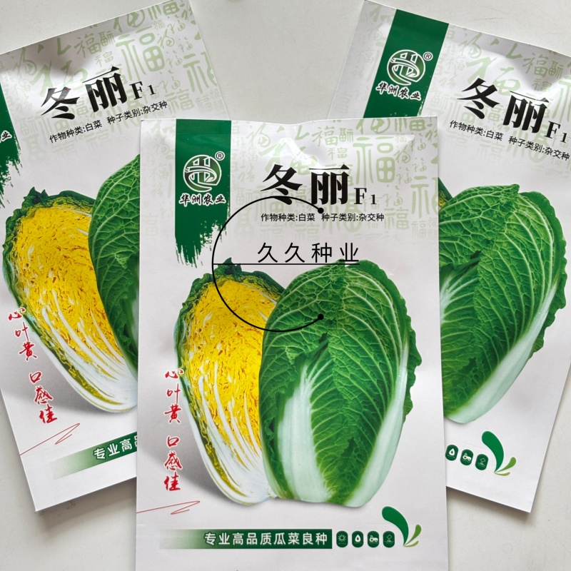 冬丽黄心大白菜种子口感好绿叶黄芯高产抗病商品性佳