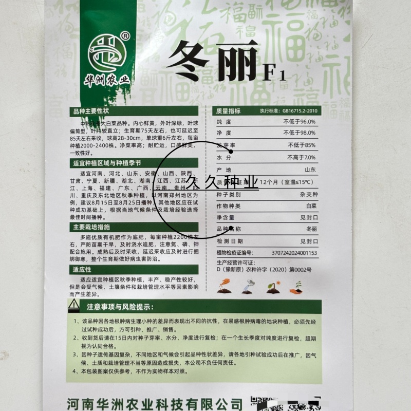 冬丽黄心大白菜种子口感好绿叶黄芯高产抗病商品性佳