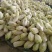 金丝奶油娃娃菜种子华阳白白菜农家种植山东黄心白菜蔬菜