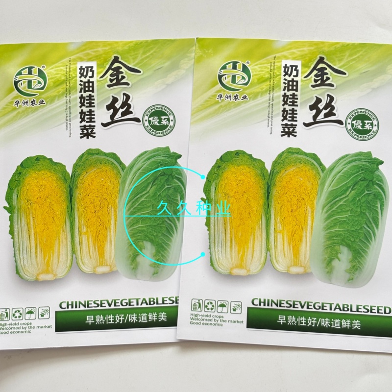金丝奶油娃娃菜种子华阳白白菜农家种植山东黄心白菜蔬菜