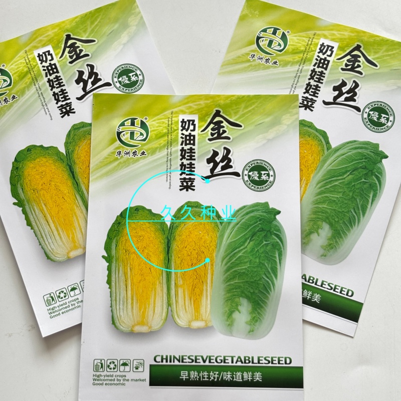 金丝奶油娃娃菜种子华阳白白菜农家种植山东黄心白菜蔬菜