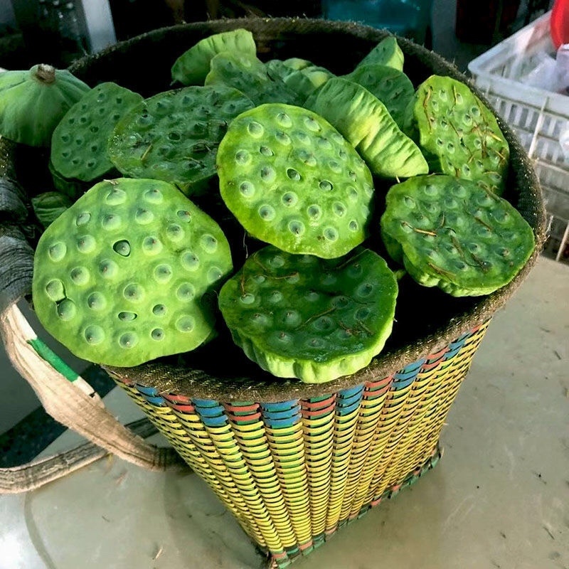 新鲜莲蓬，保险箱一件代发，🉑️多件批发，只做精品货。