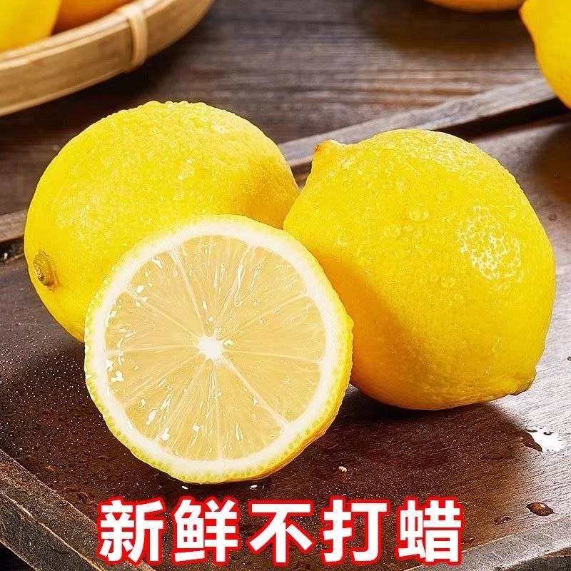 四川安岳特产新鲜水果对接黄柠檬肉奶茶店柠檬果安岳新鲜黄柠
