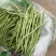 架豆王，豆王