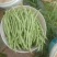 架豆王，豆王
