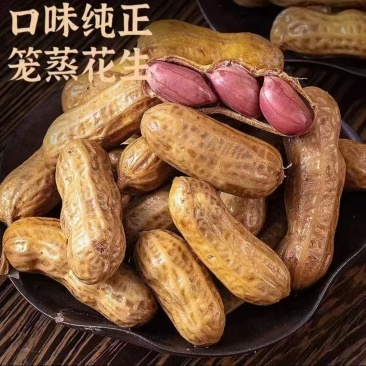 笼蒸四粒红花生