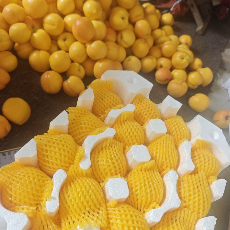 黄油桃