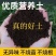 种菜营养土10斤包邮