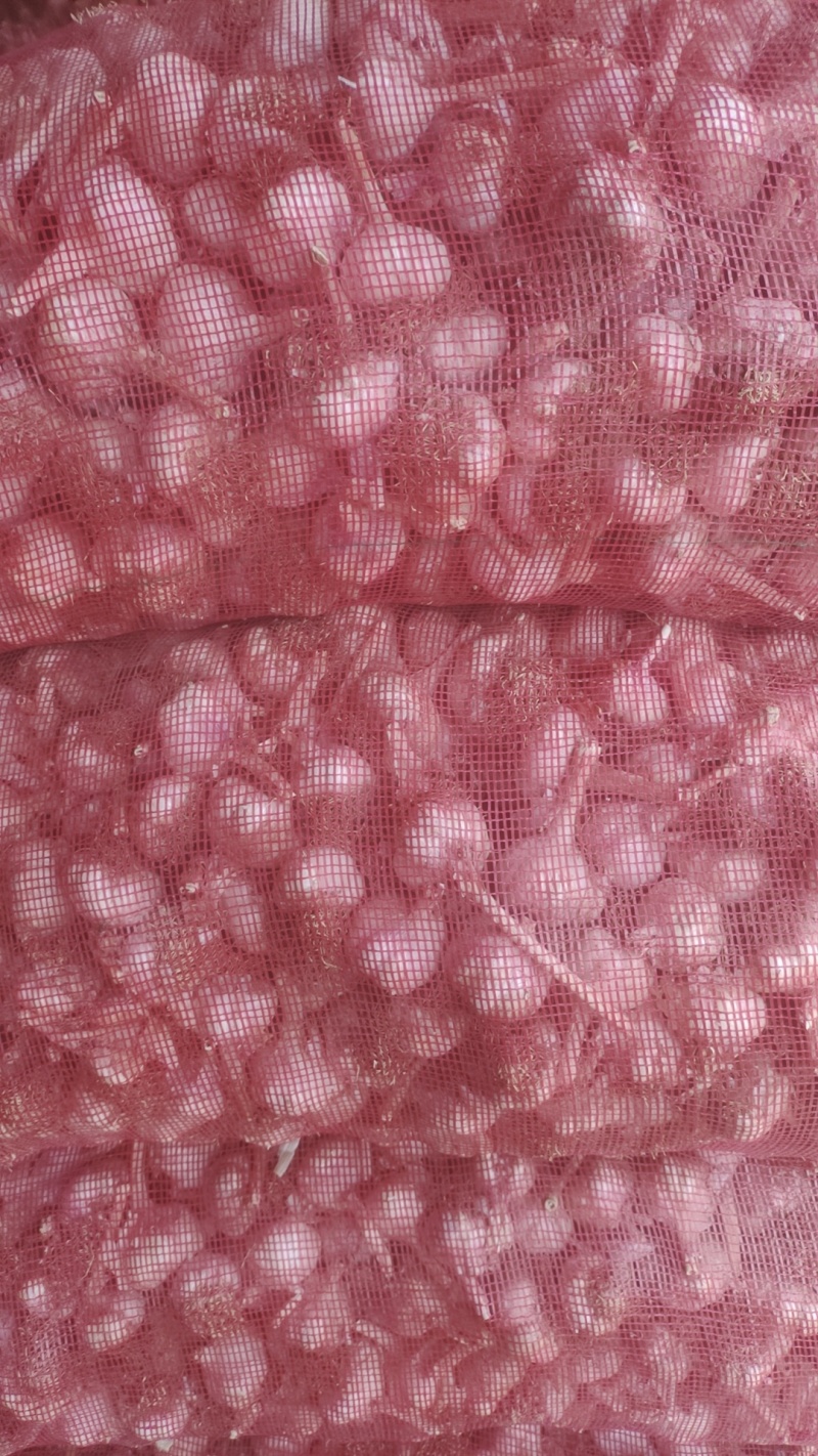 大蒜