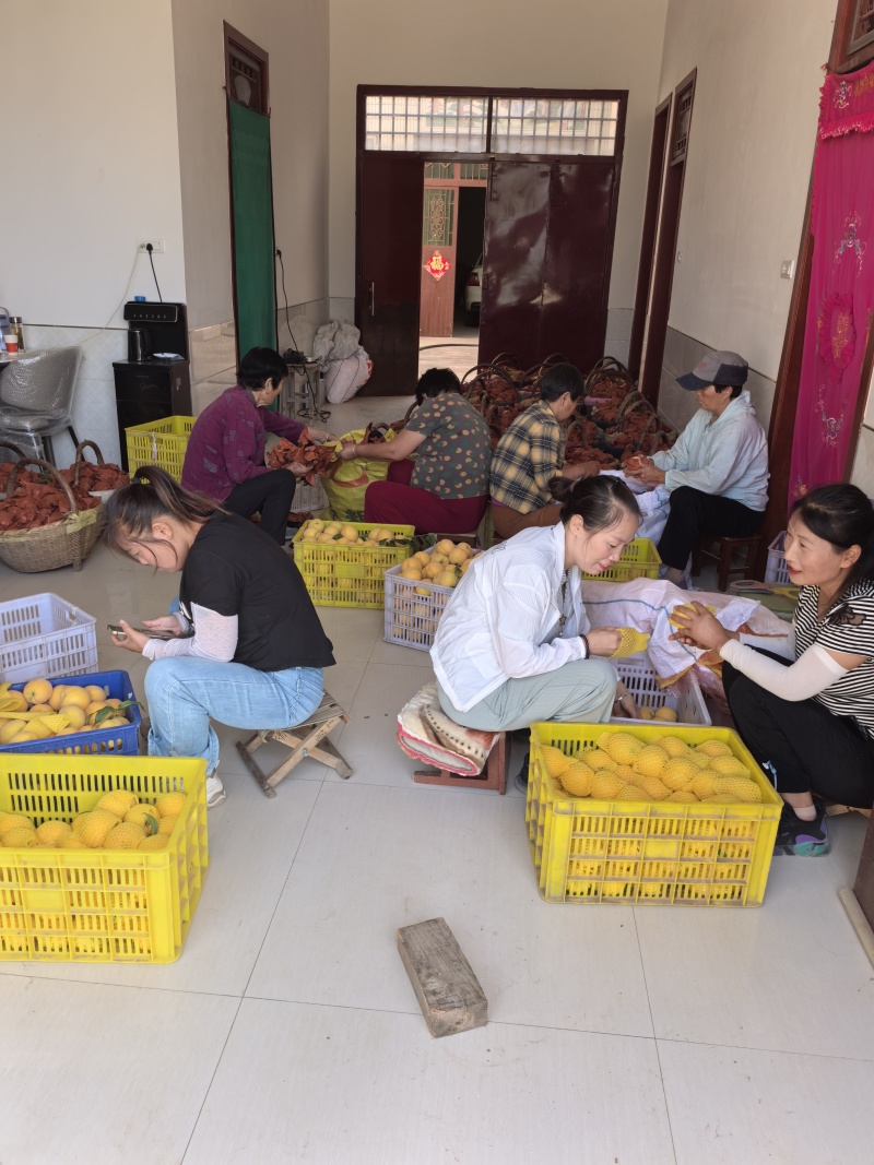 纸袋黄桃，全国发货，保质保量，对接全国各地批发市场