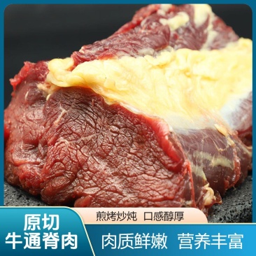 【纯正】呼伦贝尔草原放牧散养黄牛·牛通脊肉