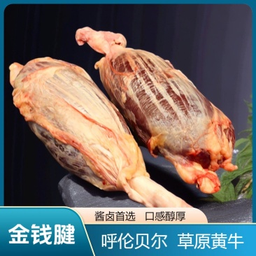 【纯正】呼伦贝尔草原放牧散养黄牛·金钱腱