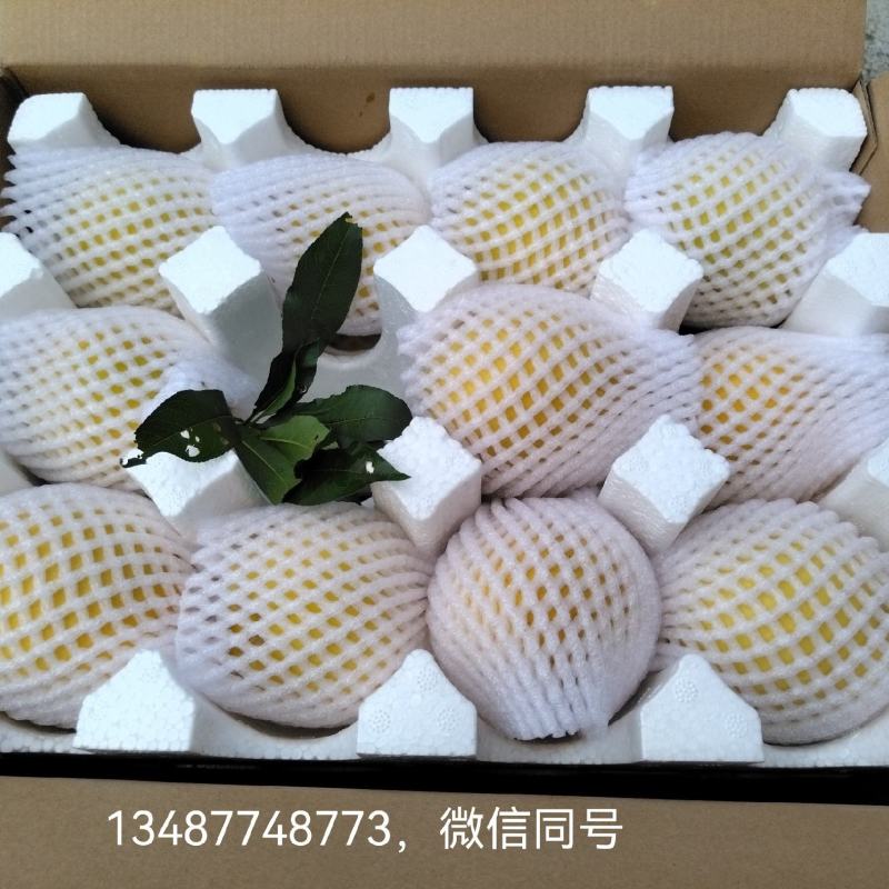 炎陵黄桃4两以上，新鲜采摘，中国优质黄桃之乡