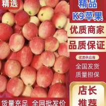 辽宁省，铁岭市，西丰双榆k9小苹果基地，大量上市