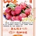增城仙进奉荔枝