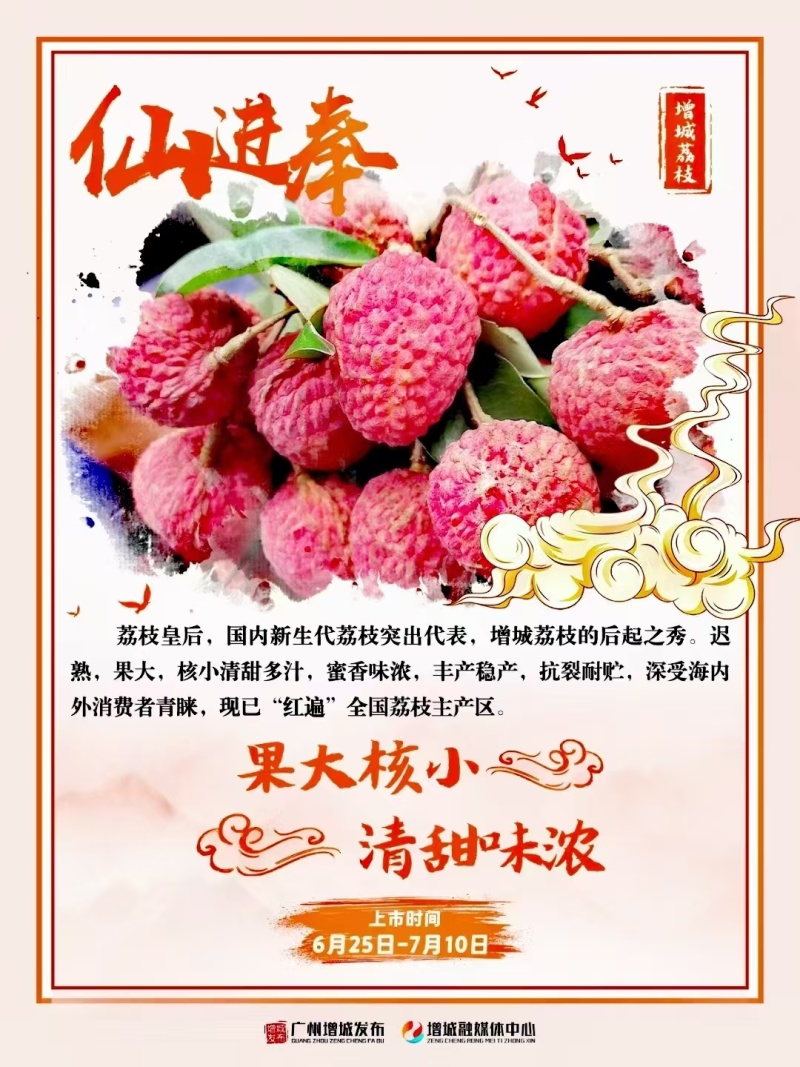 增城仙进奉荔枝