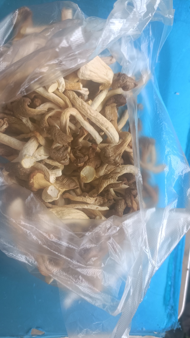 干制秀珍菇