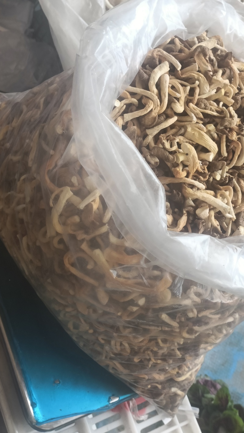 干制秀珍菇